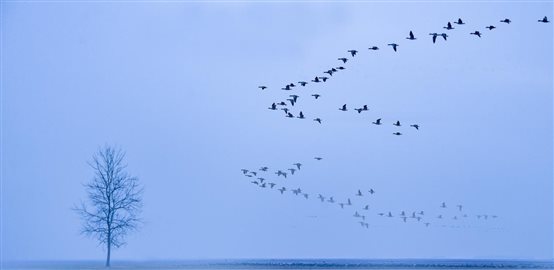 mmexport1648717673553